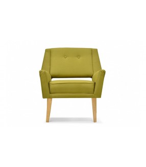 Fauteuil design rétro vert